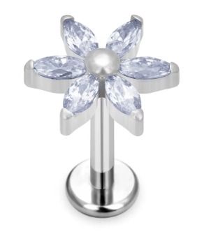  Titan náušnice labret pronikavý zirkony srdce srdce helix lobe 1,2/8