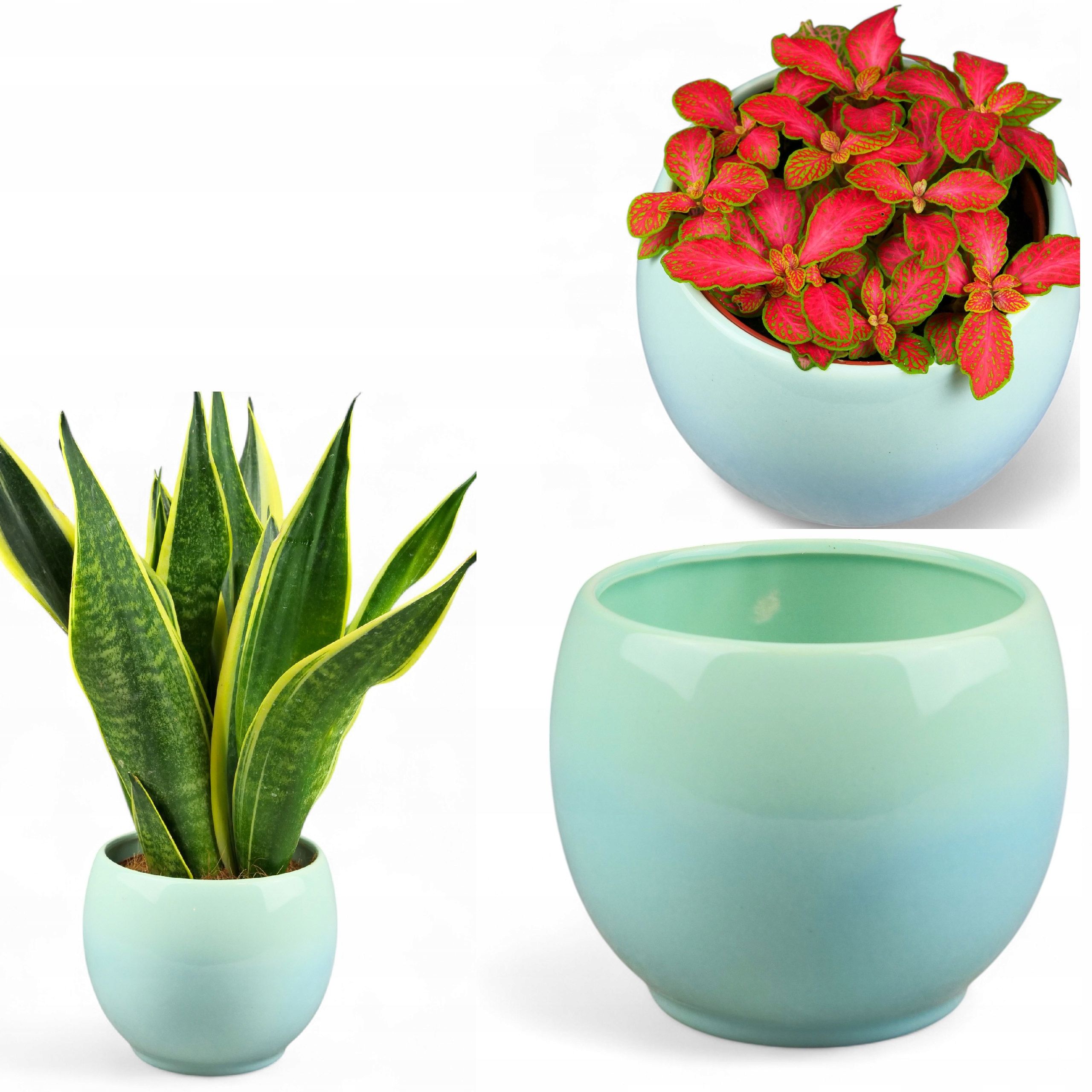  Keramikas puķu pods platums 12cm ar unikalnym rakstiski elegance i stils vienā