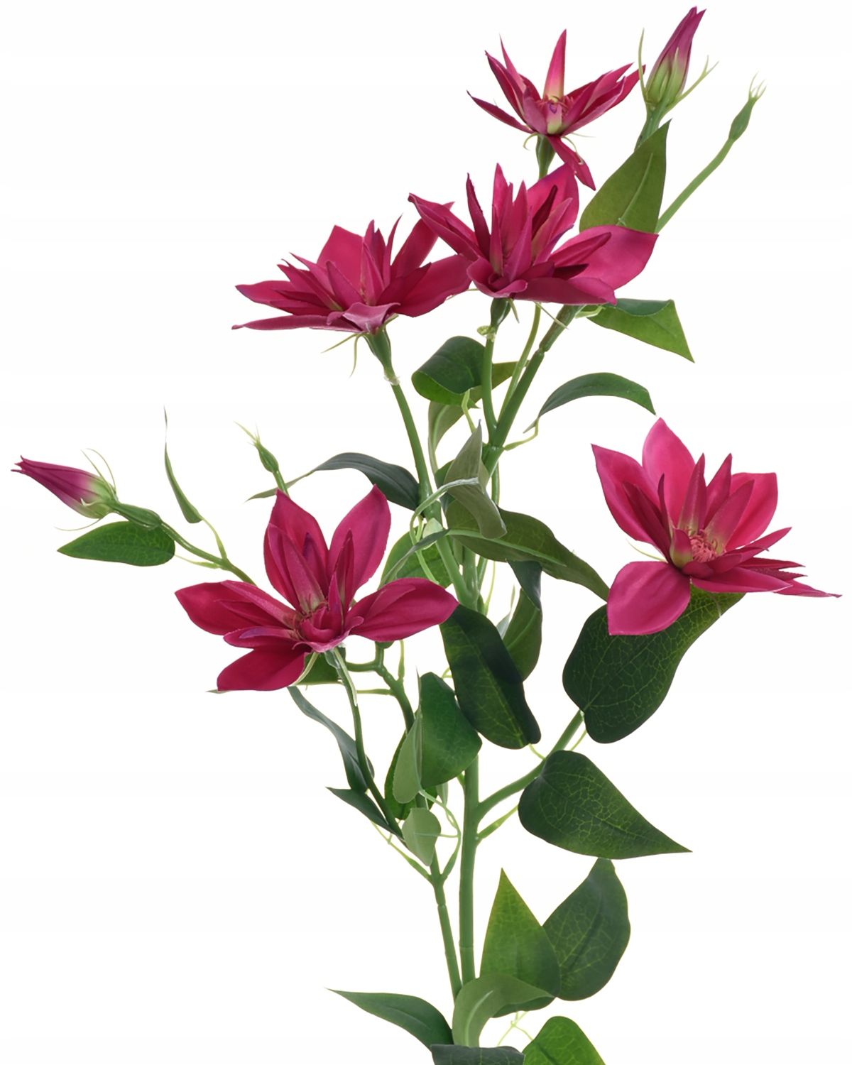  Zweig gipsowki bündeln kleine blumen in krone anhang zur krone premium