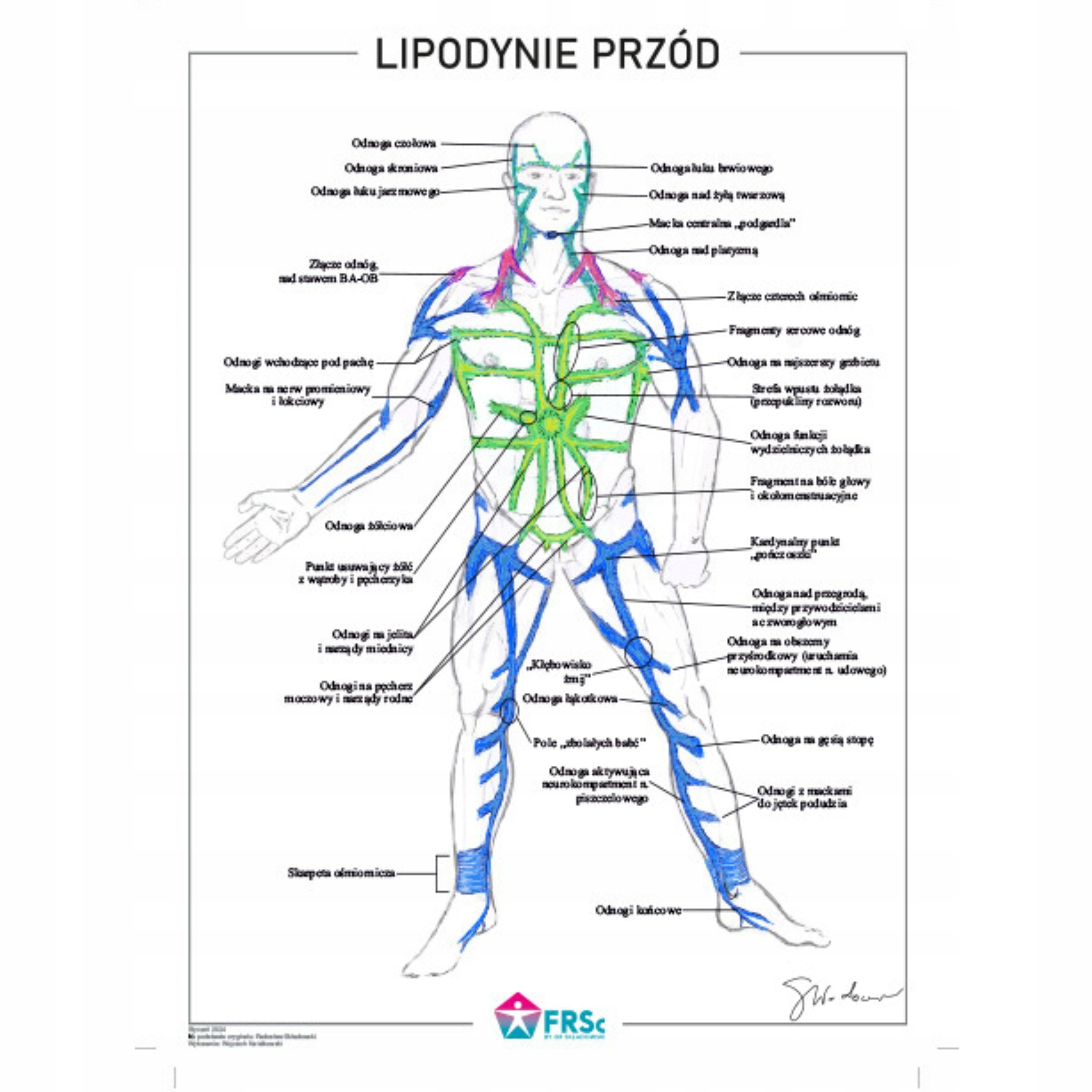  Plagát anatomické lipodynie koniec bezrámové 30x40 cm papier kriedový mat