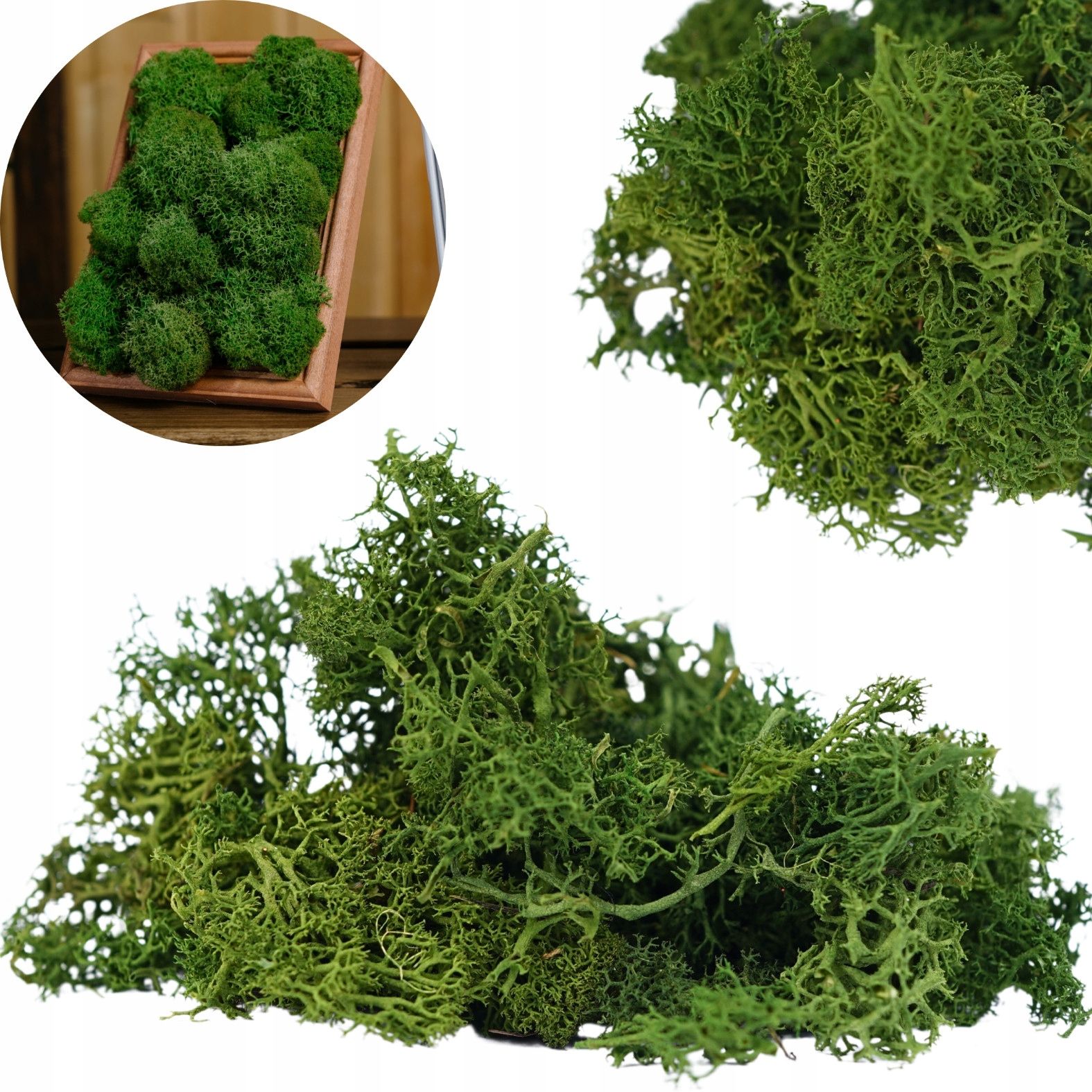 Künstlich dicht baum in einem topf ficus debnolistny wie lebendig 90cm premium