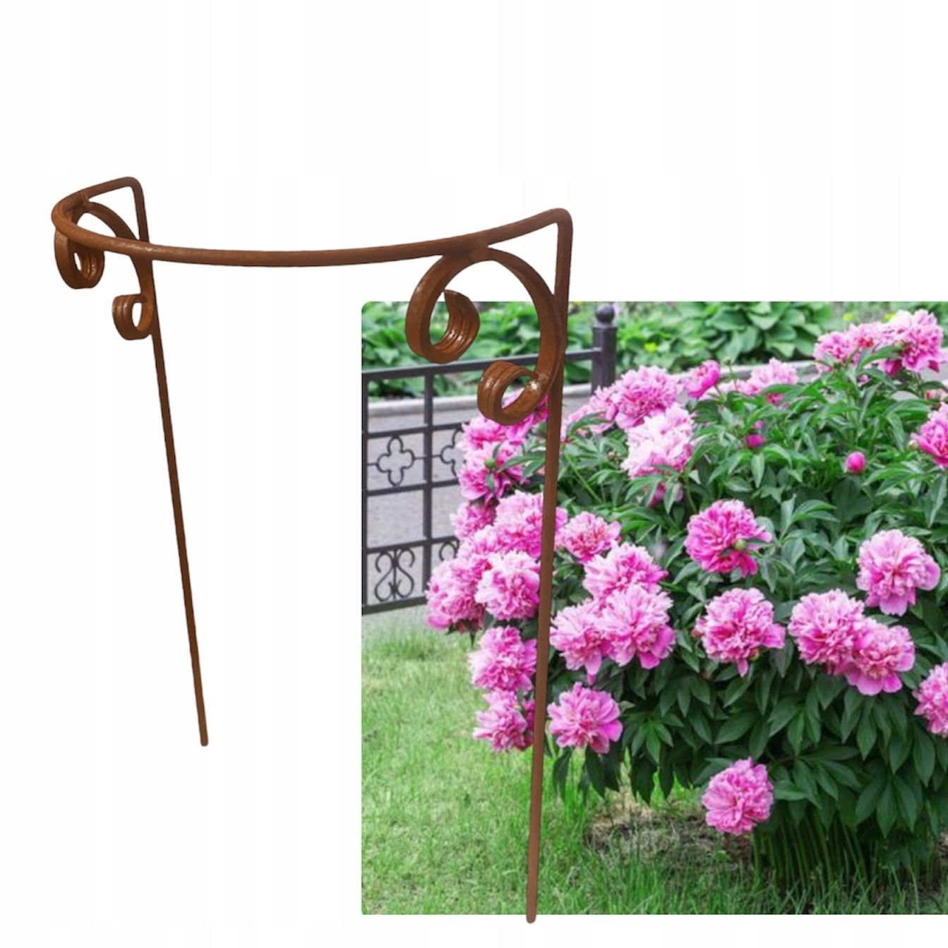  Support for bushes plants flower roses pergola 30/50cm single-seater semicircular