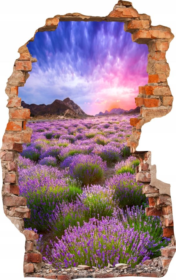  Sienas uzlīmes foto tapetes caurums 688 daba