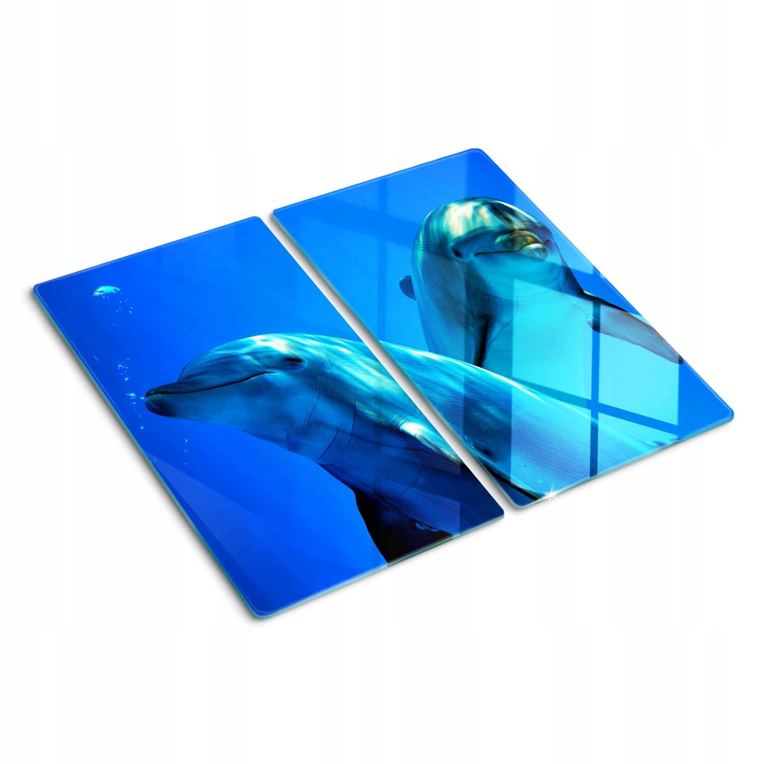  Cutting table glass painting prickly pear 2x30x52 cm