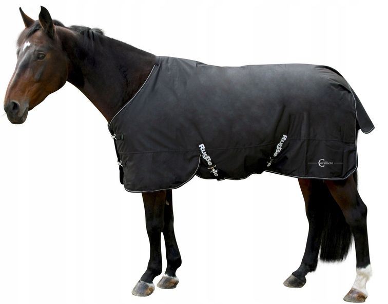 Fleecedecke mit kapuze therm schwarze farbe für ein pferd r.155 covalliero