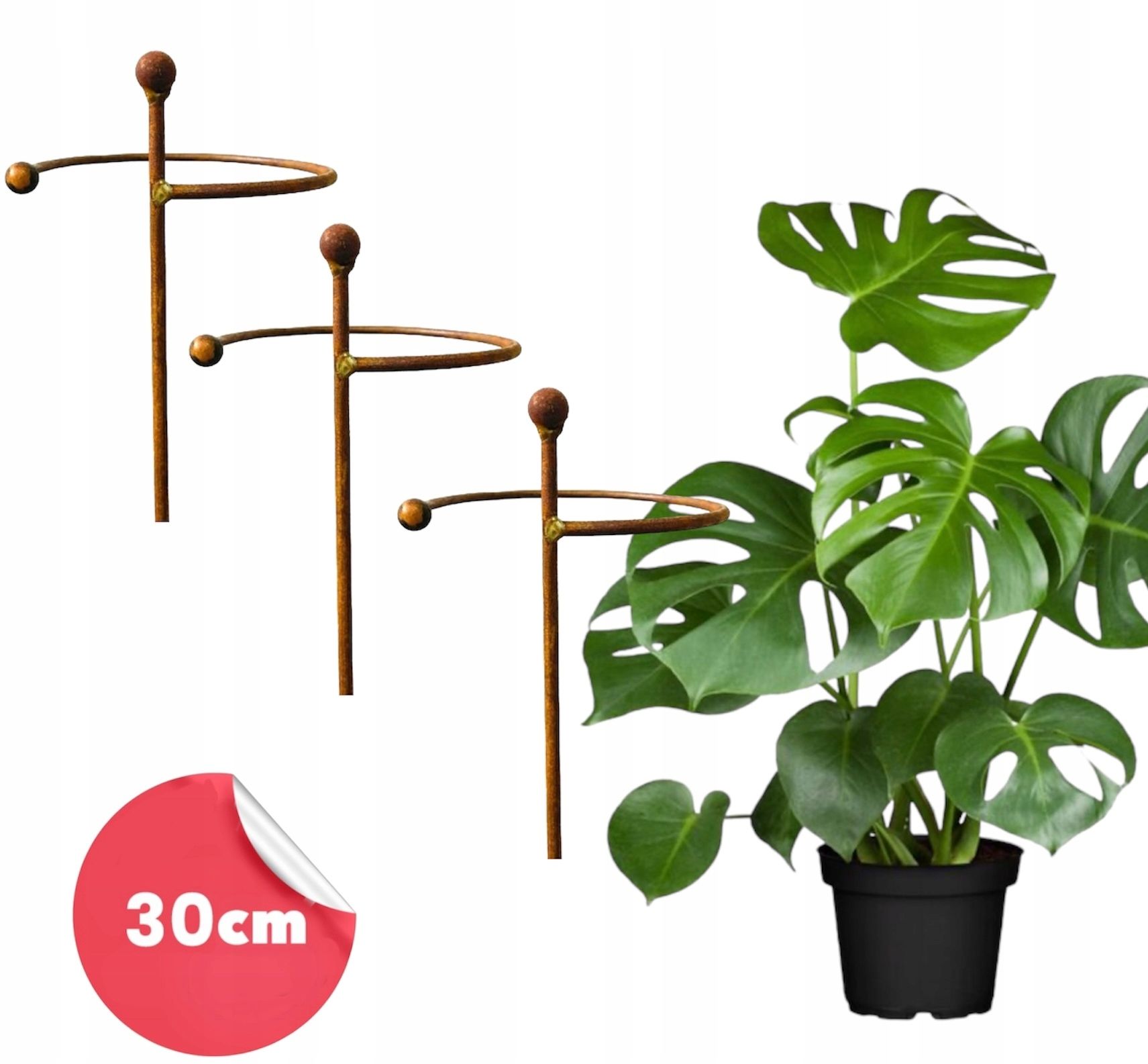  Support for bushes plants flower roses pergola 30/50cm single-seater semicircular