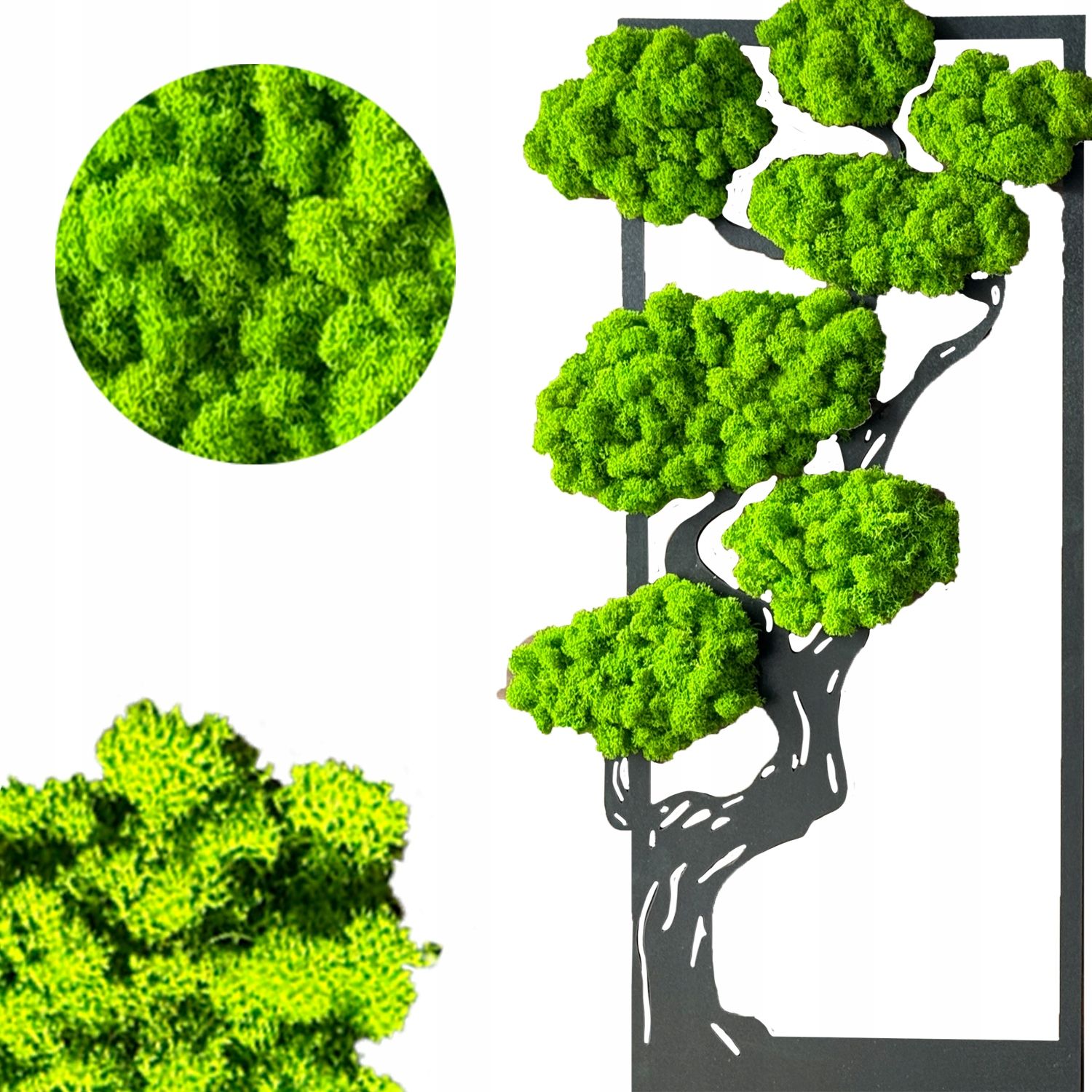  Glezna ar sūnas sūnas chrobotek dzīvs bonsai koks uz sienas dekorēšana