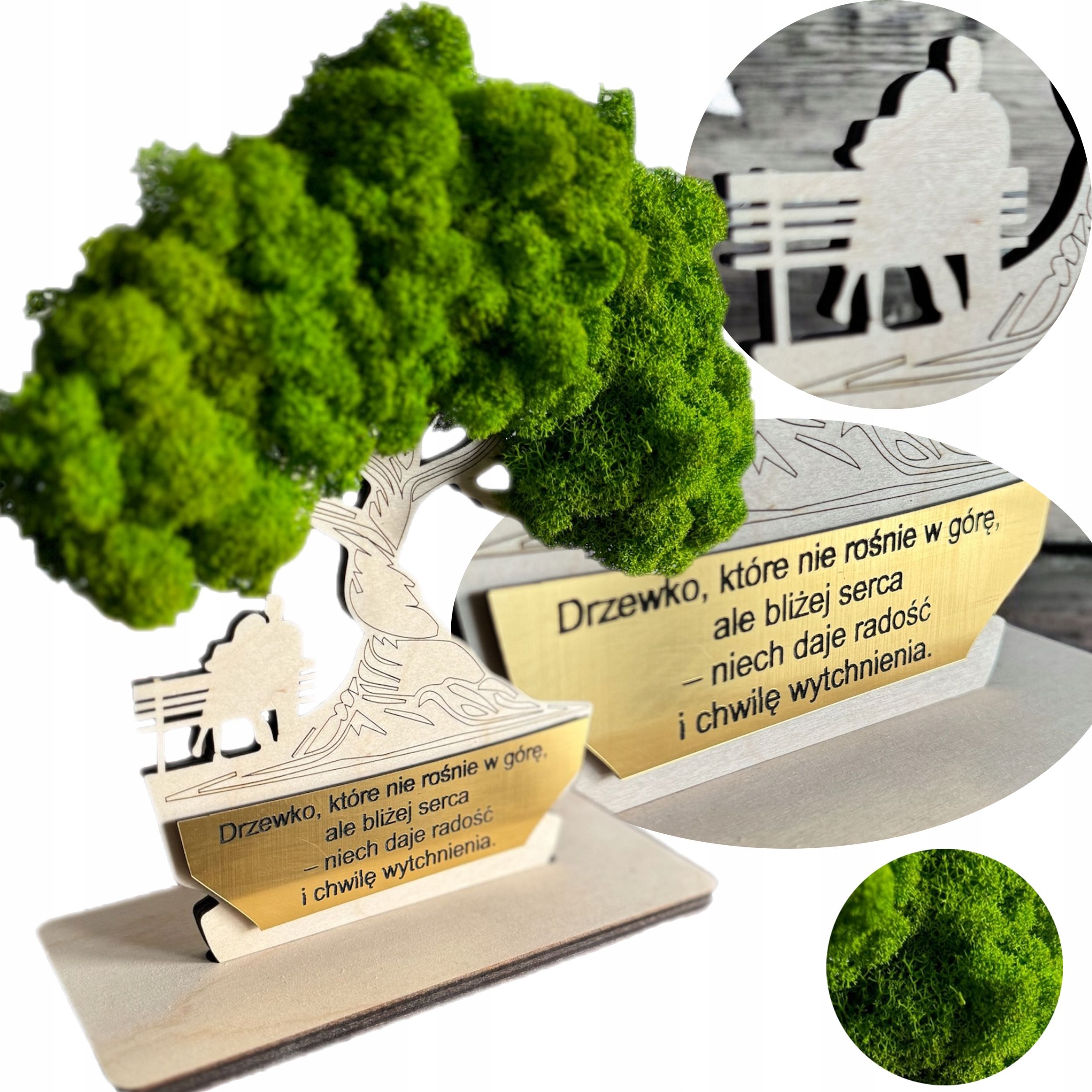  Malování s mech mech chrobotek strom štětina bonsai nástěnná dekorace 20