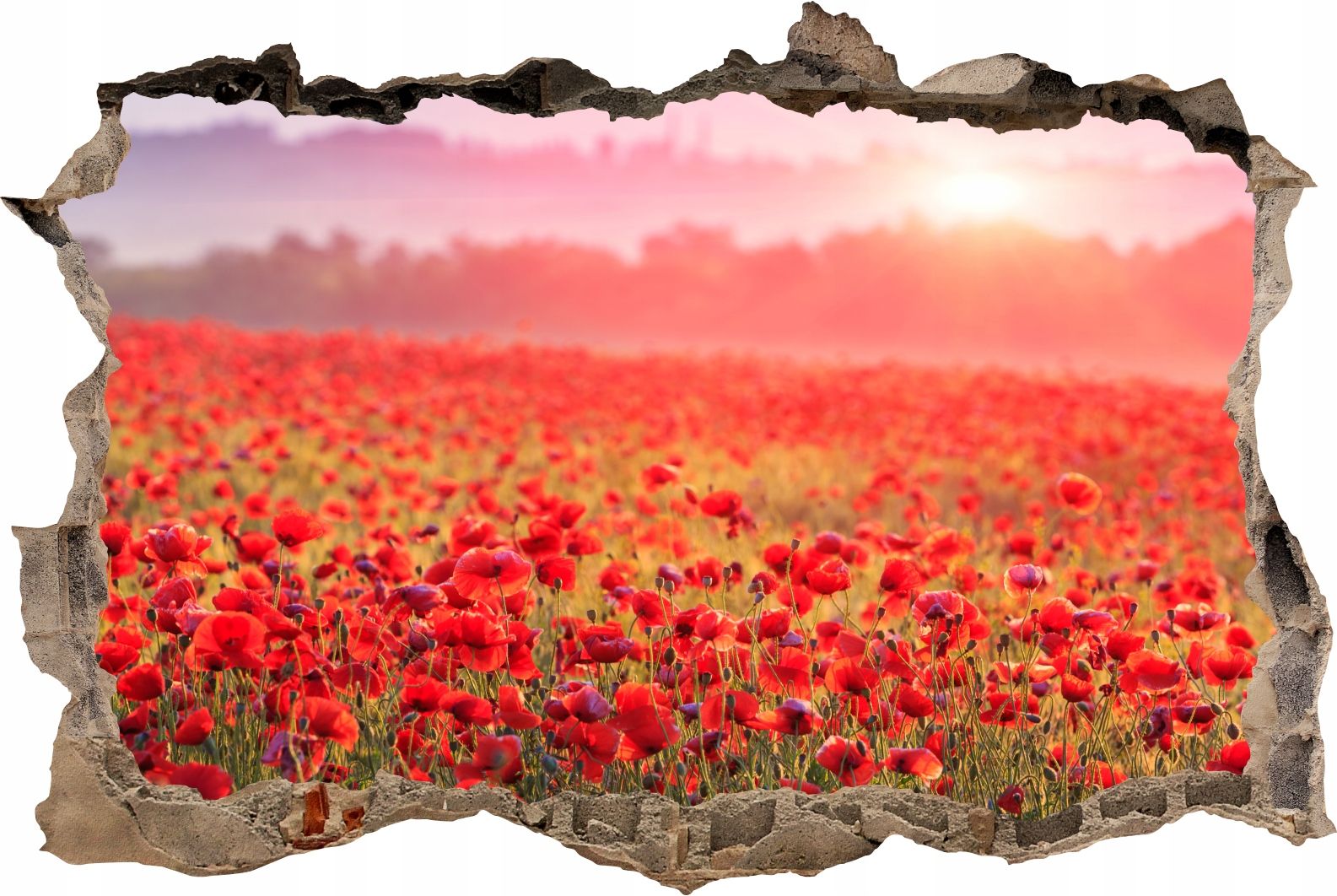  Fototapeedid auk 3d seinakleebis wodospady potok mets loodus