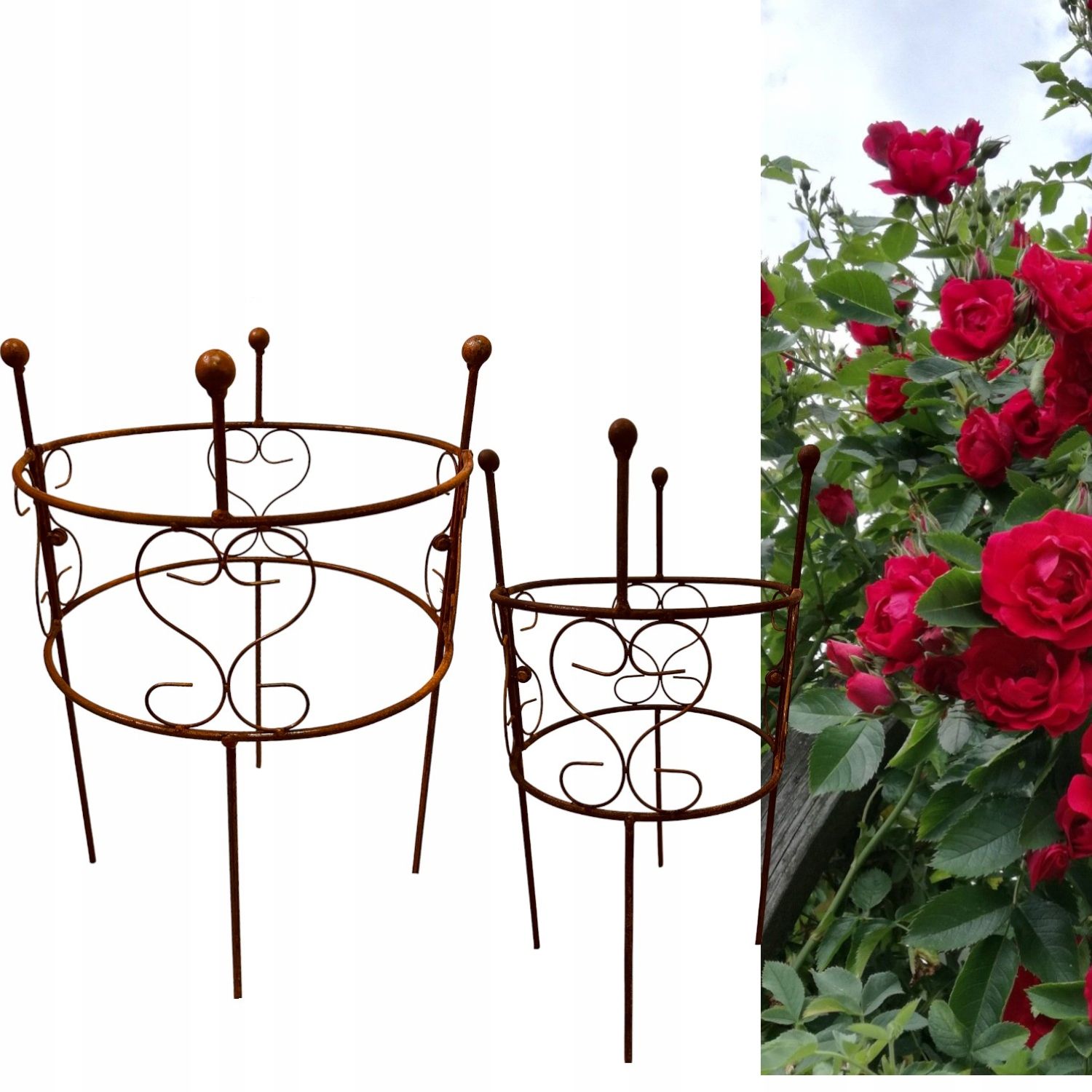  Support for bushes plants flower roses pergola 30/50cm single-seater semicircular