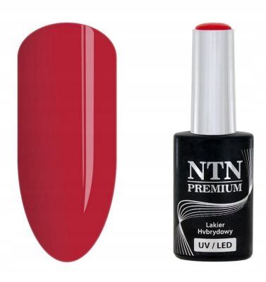  Ntn lak hybridní premium báze 221 funky base 06