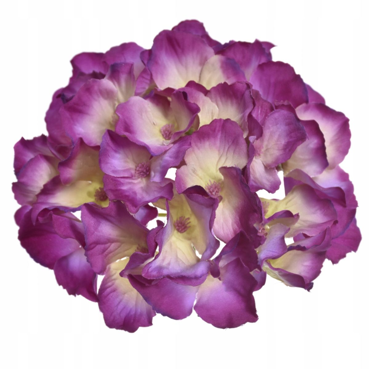  Zweig gipsowki bündeln kleine blumen in krone anhang zur krone premium