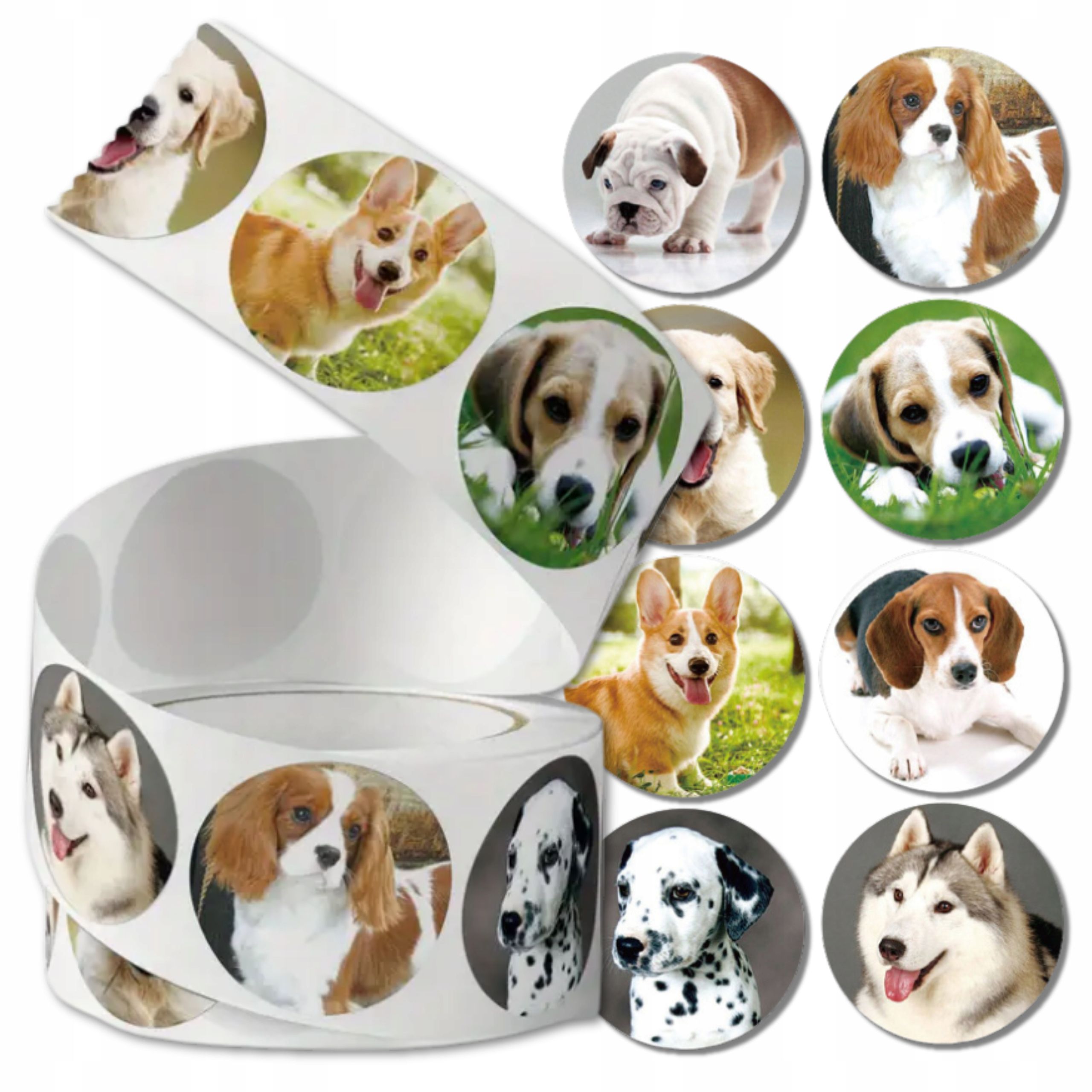  Stickers kapibara colorful kreskowkowe for children diy in a roll 300 pcs.