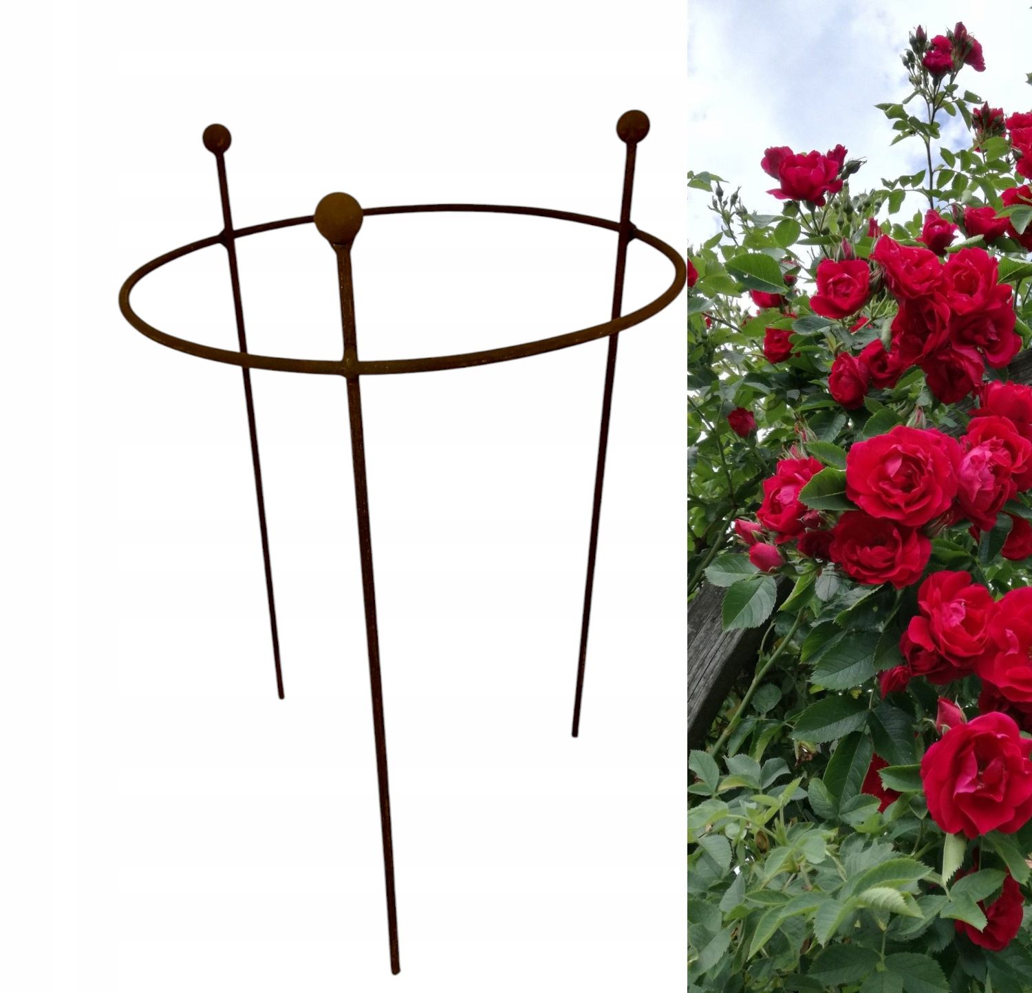  Podpora rostlin popínavé rostliny žebřík květiny hortenzie velikost podporuje 150 cm