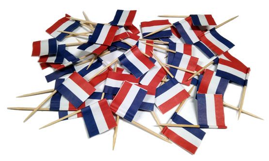  Toothpicks piers flags slovakia slowacji 20 pcs.