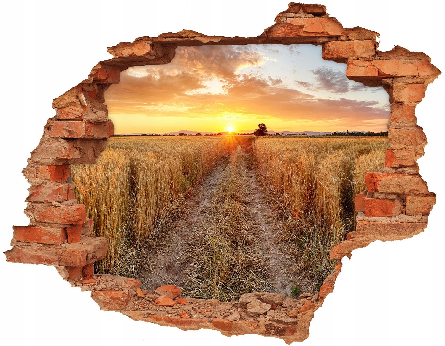  Otvor 3d výzdoba na zdi 148x115 cm lilie voda