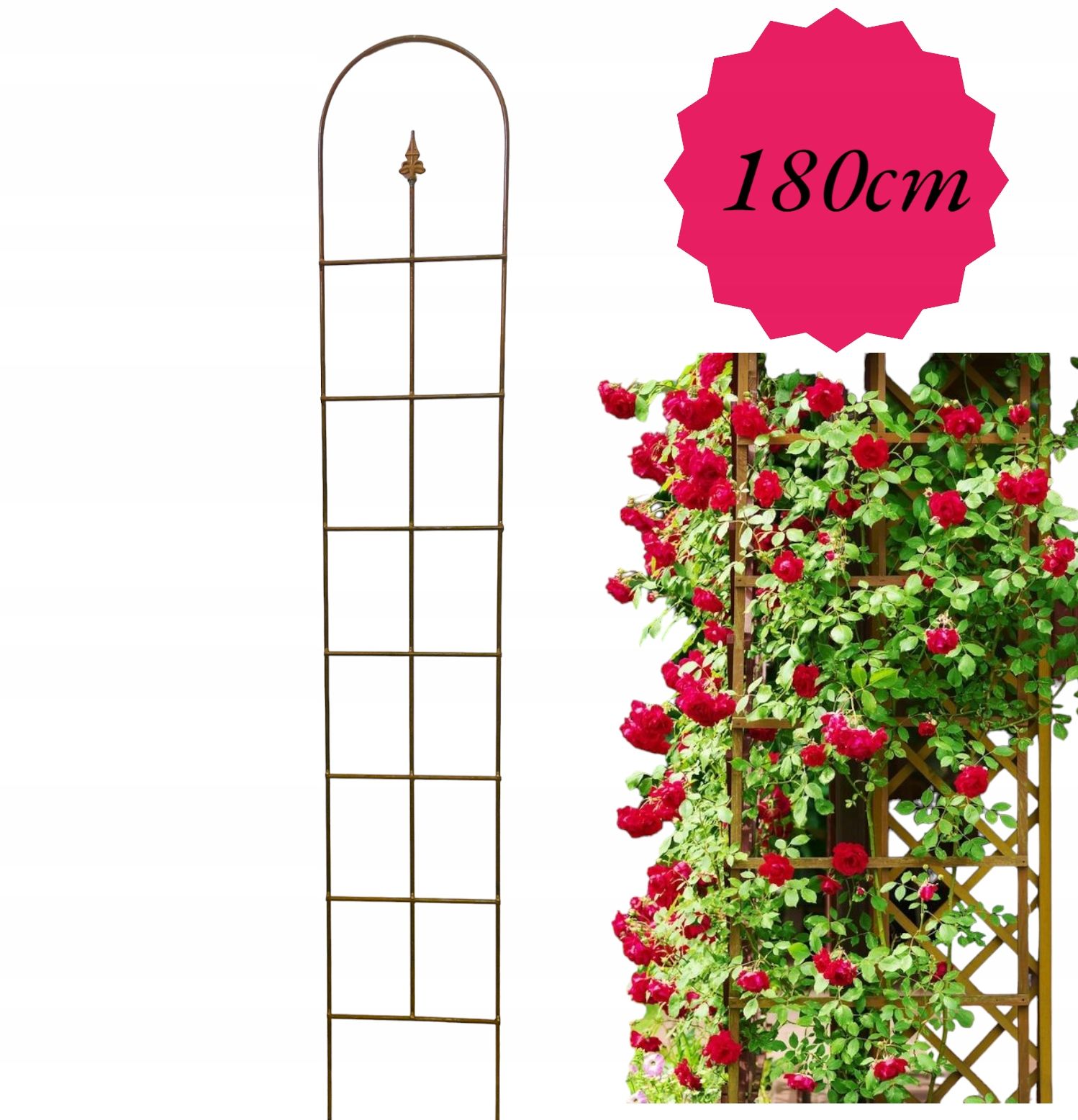  Support for bushes plants flower roses pergola 30/50cm single-seater semicircular