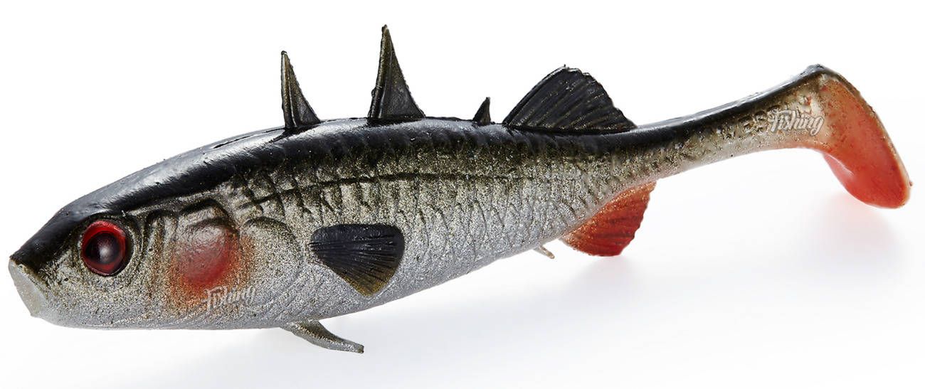 Guma westin stanley the stickleback spawning 5,5