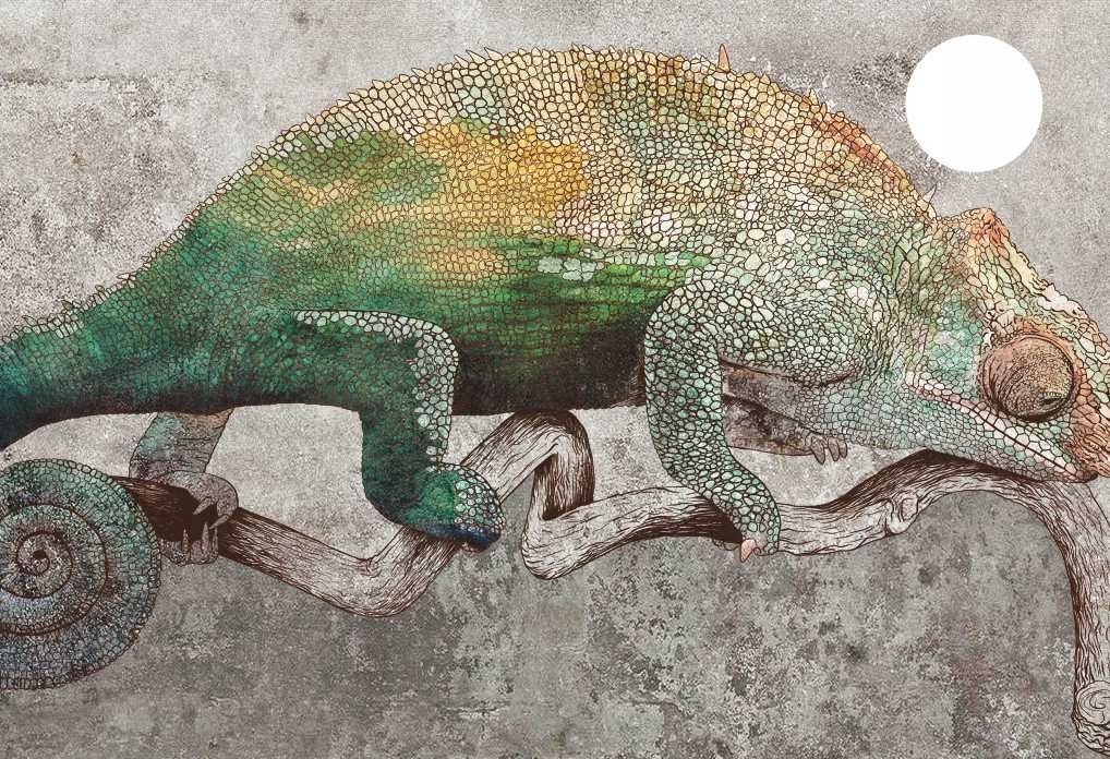  Ochranná podložka pro stůl micke 73x50 mapa zvířata