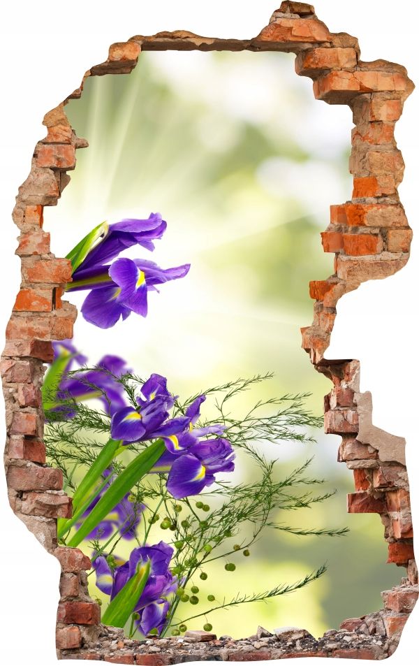  Sienas uzlīmes foto tapetes caurums 688 daba