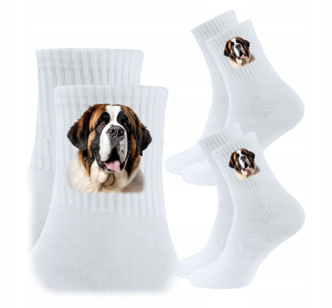  3x socken psiak hund hündchen hunde geschenk - york yorkshire