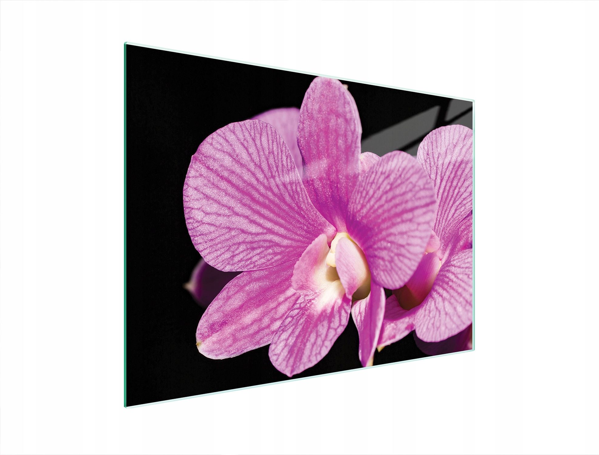  Stiklas pjaustymo lentelė 52x30 orchidėja grūdintas stiklas