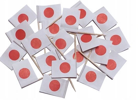  Toothpicks piers flags slovakia slowacji 20 pcs.