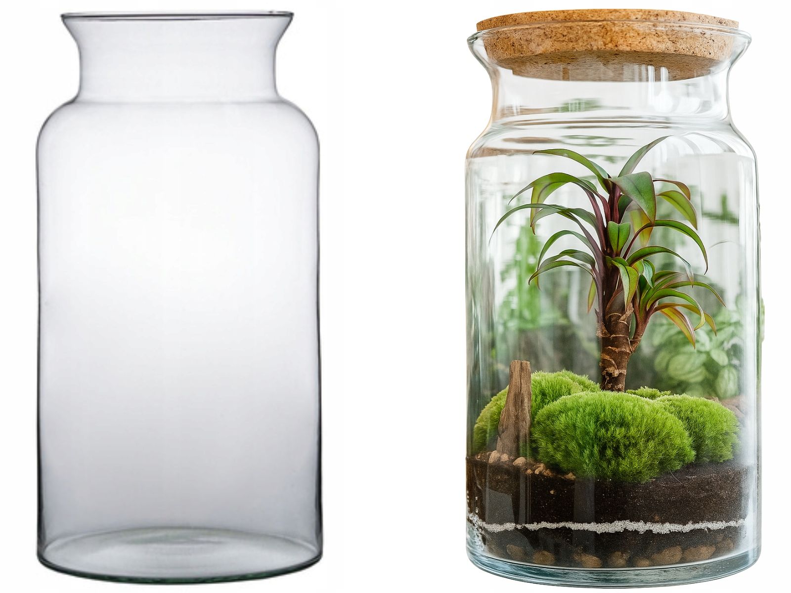  Moss chrobotek light green to the forest in a glass jar in glass decoration 10g