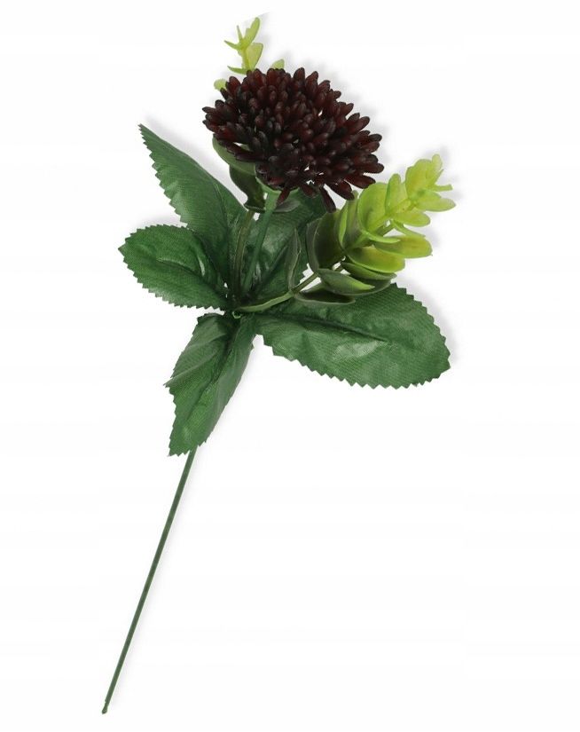 Garlic twig with eucalyptus appendix for bouquets compositions
