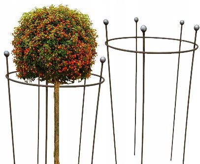  Support for bushes plants flower roses pergola 30/50cm single-seater semicircular