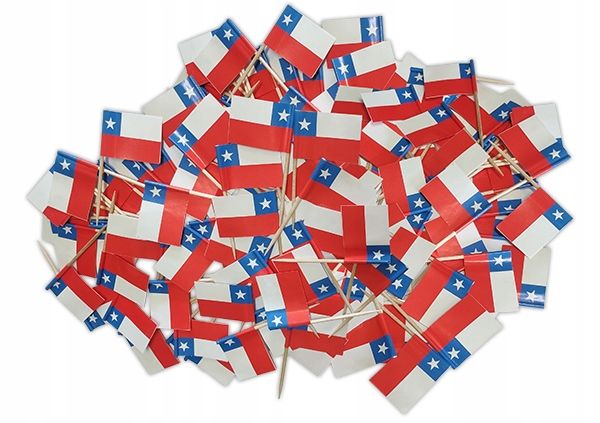  Toothpicks piers flags slovakia slowacji 20 pcs.
