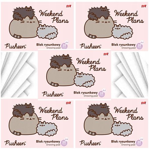  Zīmēšanas piezīmju grāmatiņa a4 balts 20k kaķis pusheen skolai st. majewski - 2 datoriem.