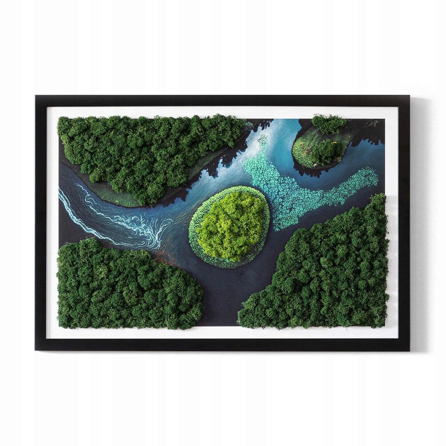  Tapyba samanos chrobotek sala ant rozlewisku 60x40
