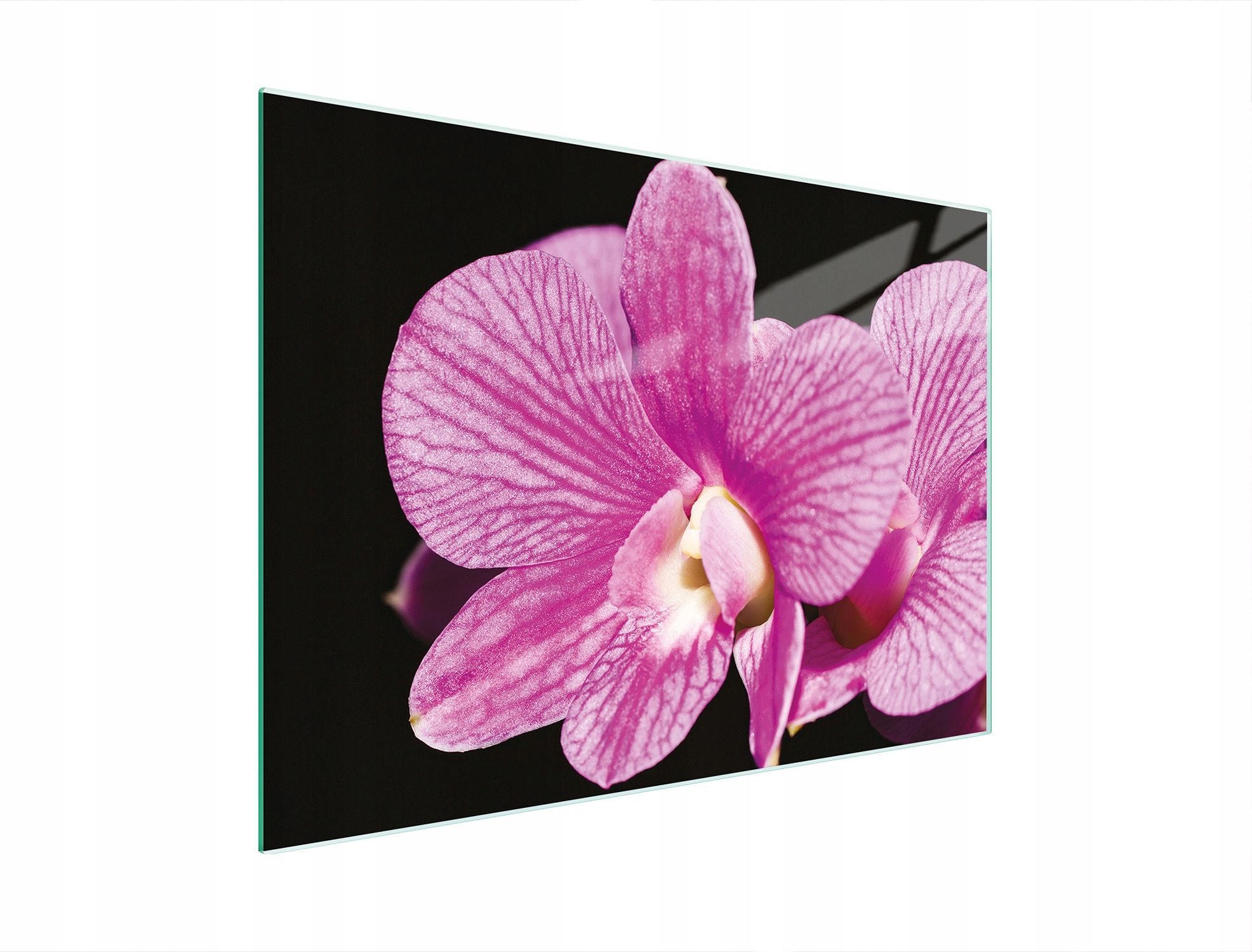  Stiklas pjaustymo lentelė 52x30 orchidėja grūdintas stiklas