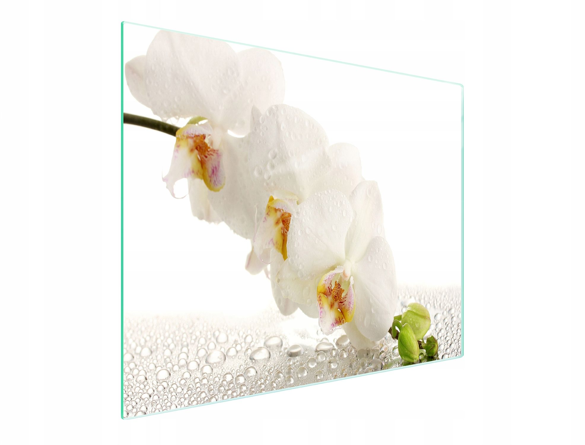  Stiklas pjaustymo lentelė 52x30 orchidėja grūdintas stiklas