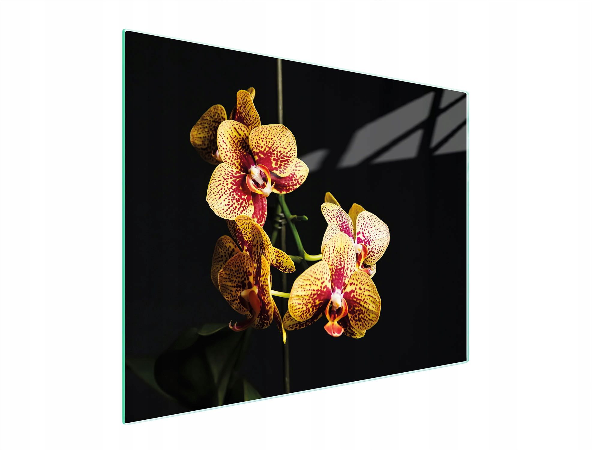  Stiklas pjaustymo lentelė 52x30 orchidėja grūdintas stiklas