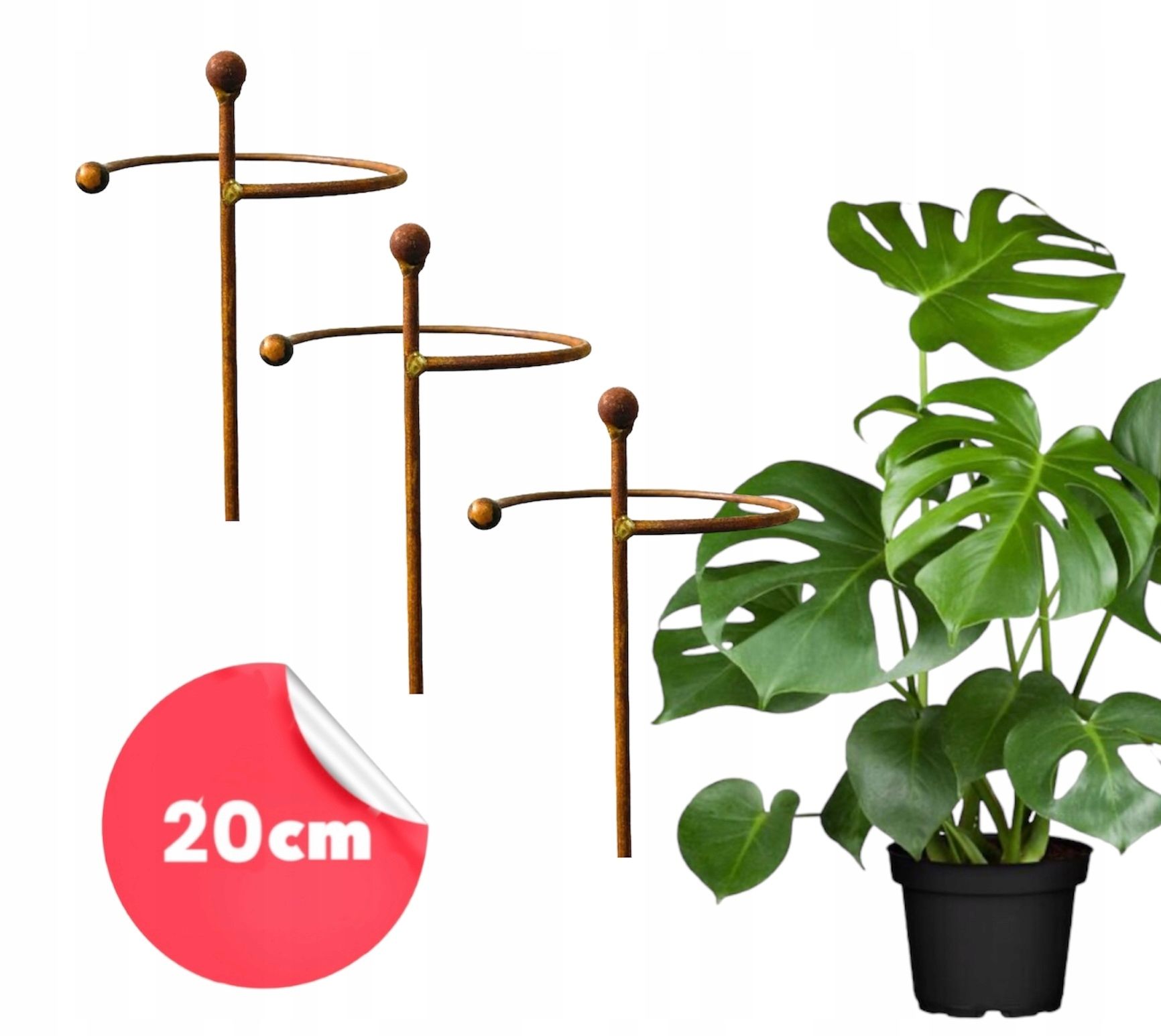  Support for bushes plants flower roses pergola 30/50cm single-seater semicircular