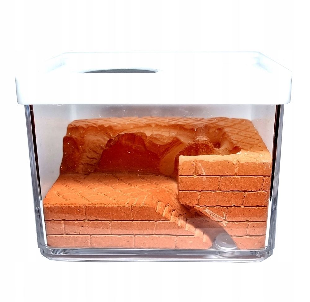  Formicarium gips rot zucht ameisen anthunter