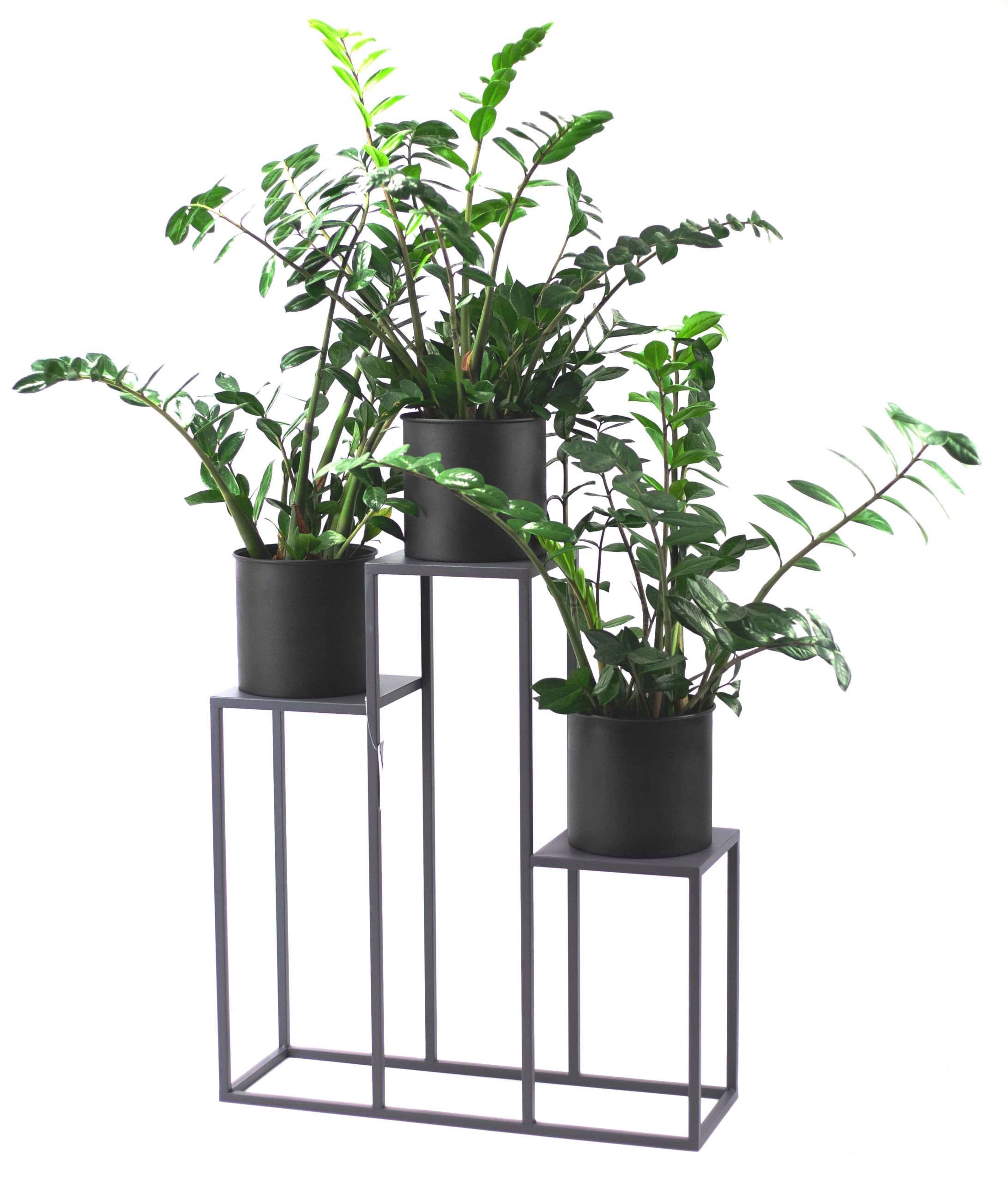  Stovas gėlėms jak-pol 80 cm metalas