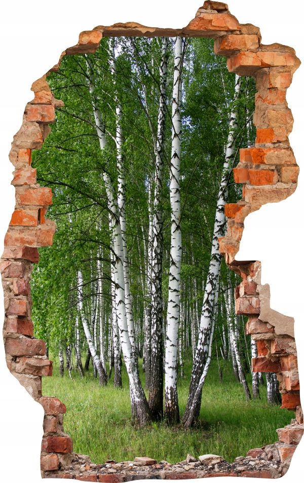  Sienas uzlīmes foto tapetes caurums 688 daba