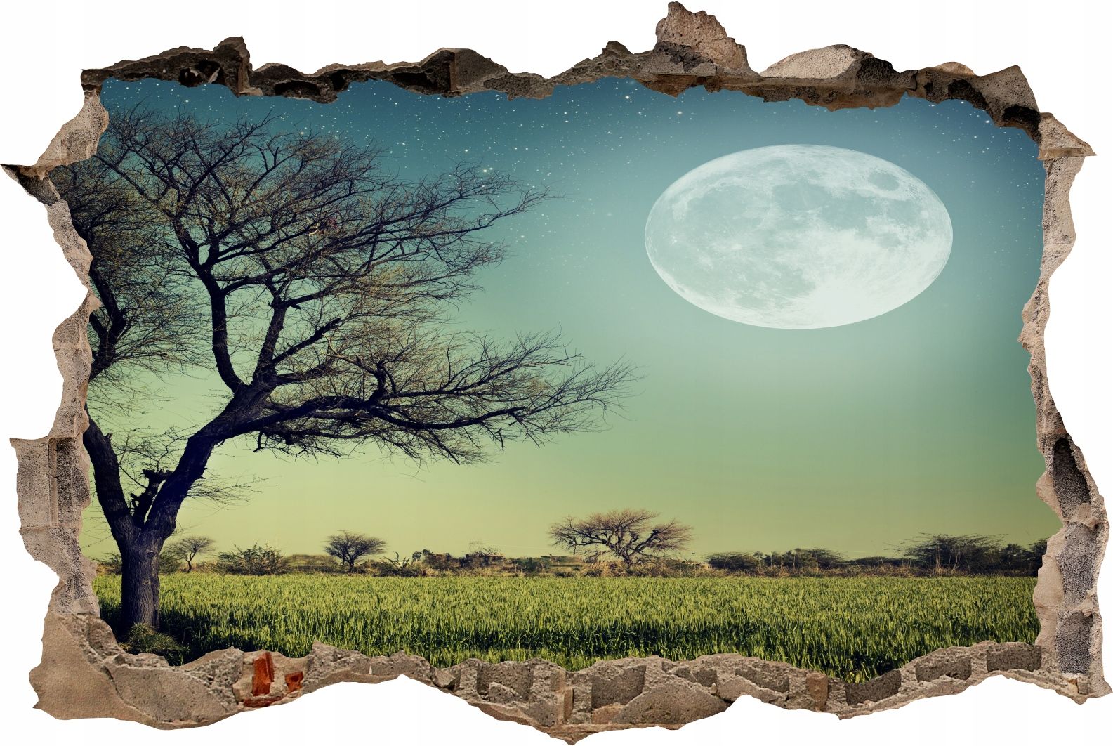  Fototapeedid auk 3d seinakleebis wodospady potok mets loodus