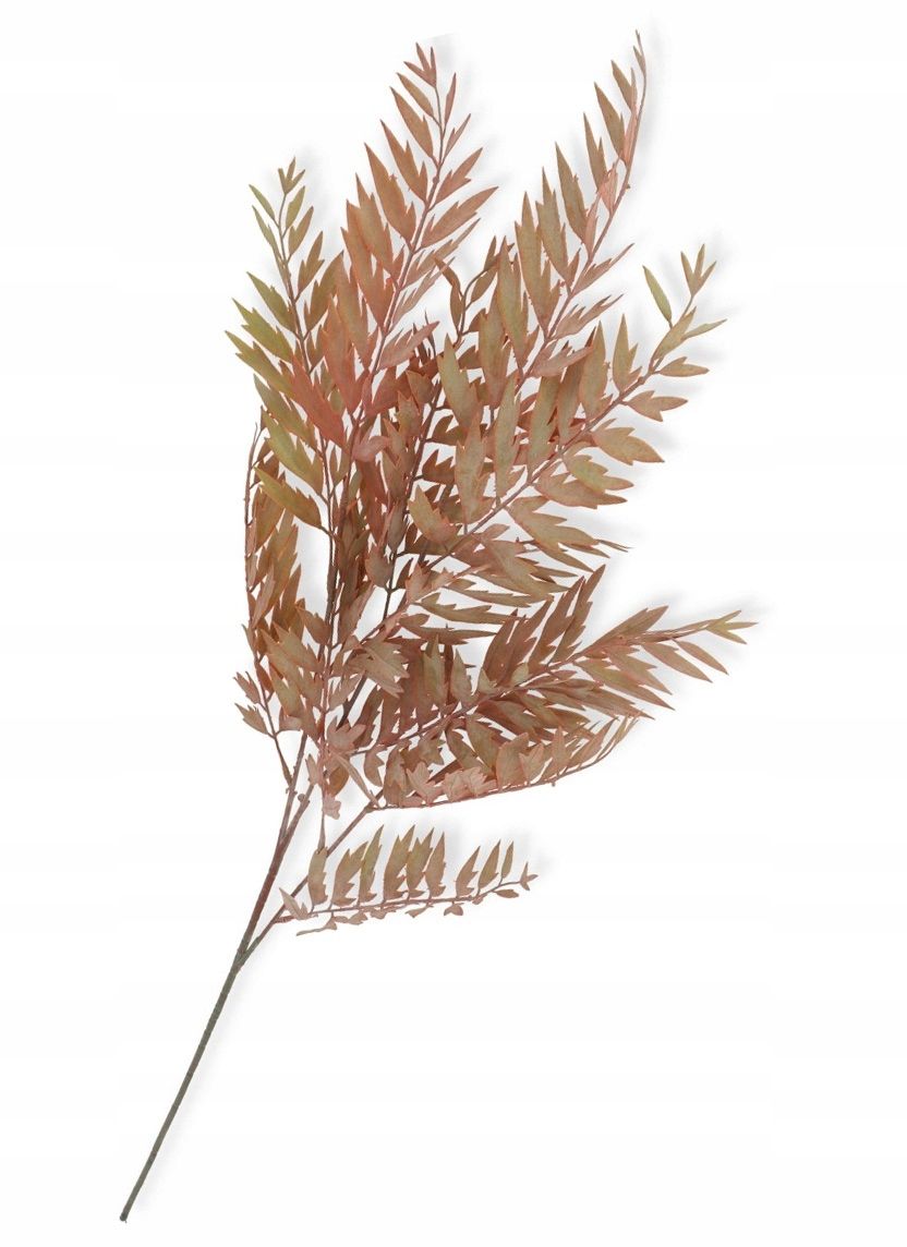  Garlic twig with eucalyptus appendix for bouquets compositions