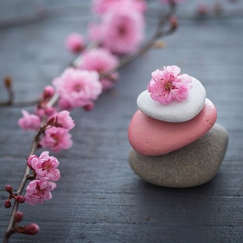  Photo wallpapers latex according to measurements cherry blossoms