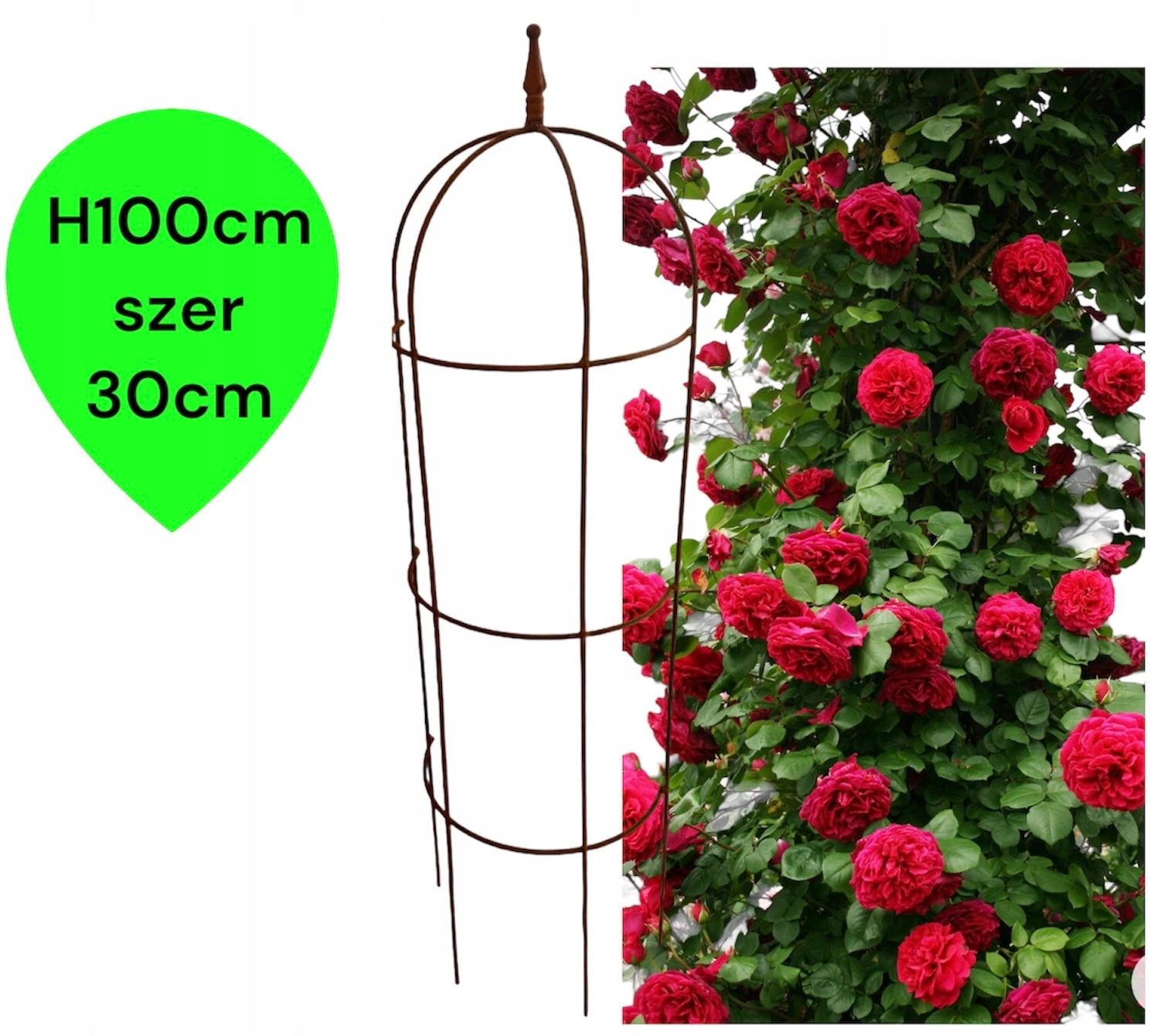  Support for bushes plants flower roses pergola 30/50cm single-seater semicircular