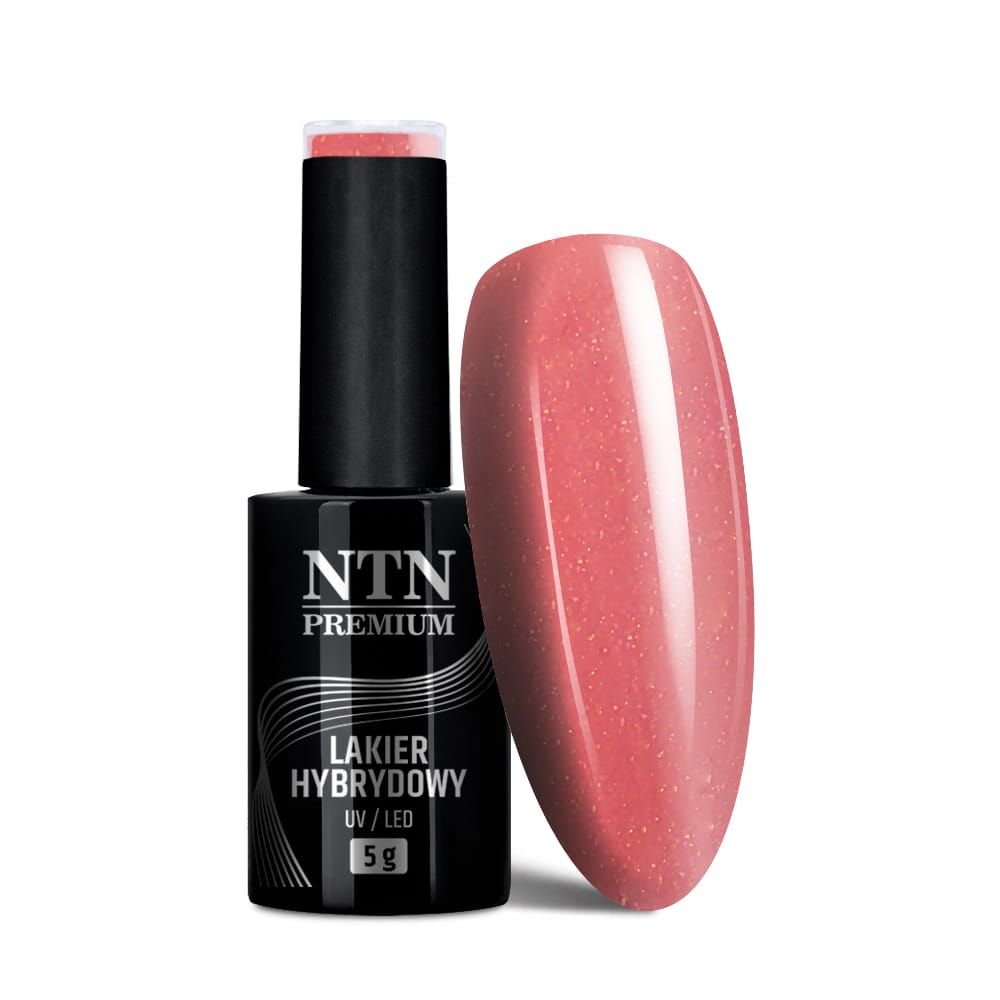  Ntn lak hybridní premium báze 221 funky base 06