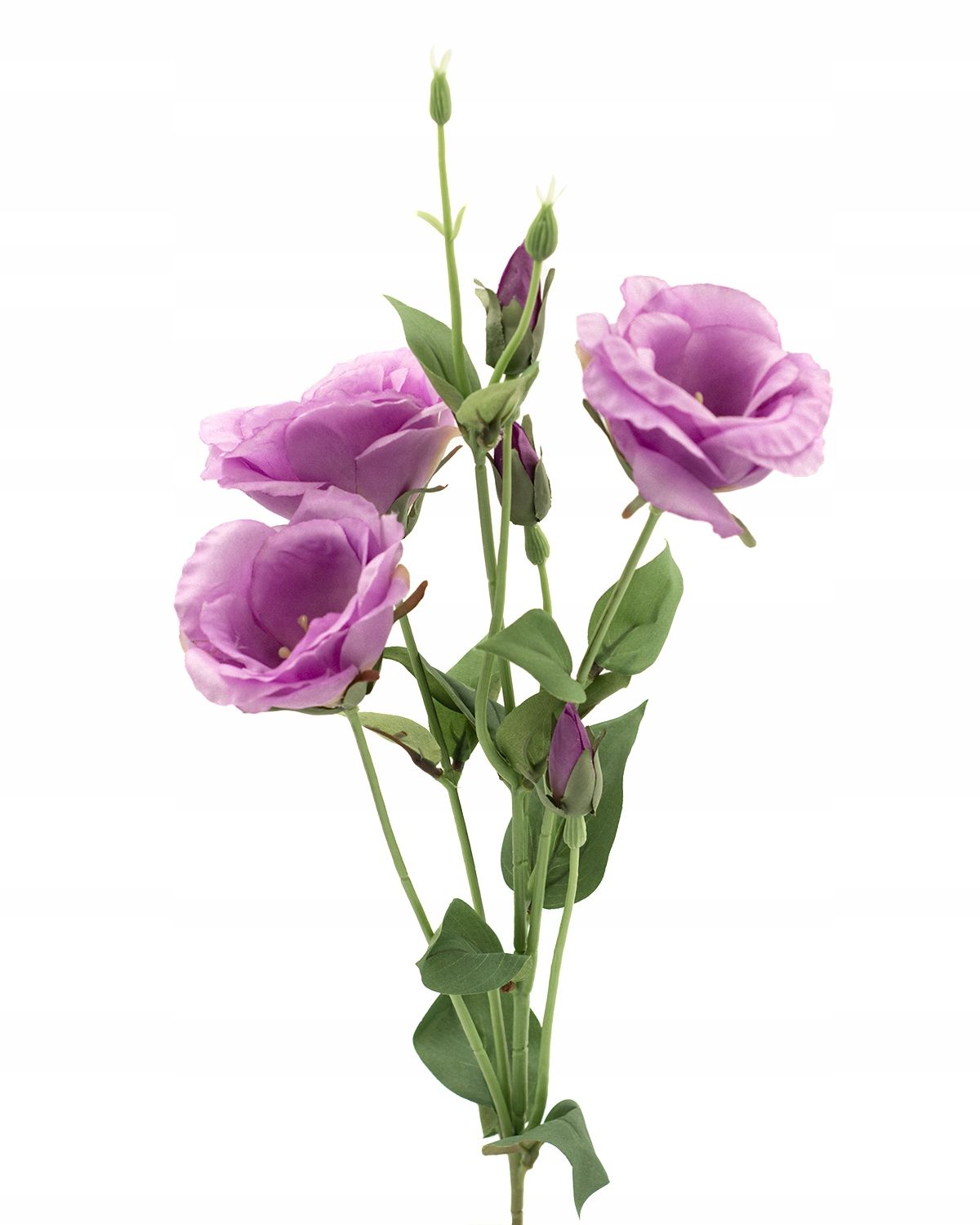  Zweig gipsowki bündeln kleine blumen in krone anhang zur krone premium