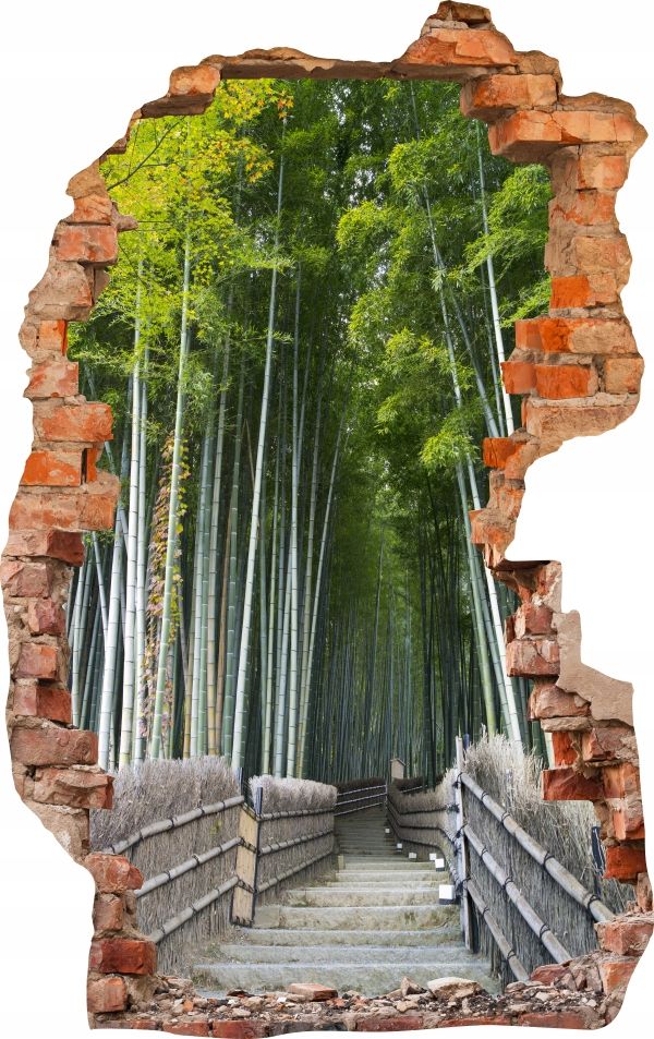  Sienas uzlīmes foto tapetes caurums 688 daba