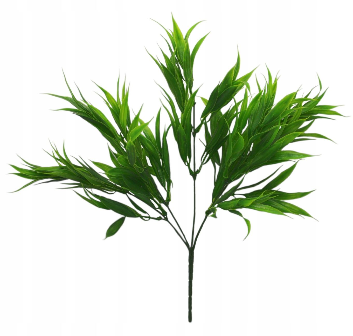  Zāle krāšņs blīvs zars 60 cm, 12 datoriem.