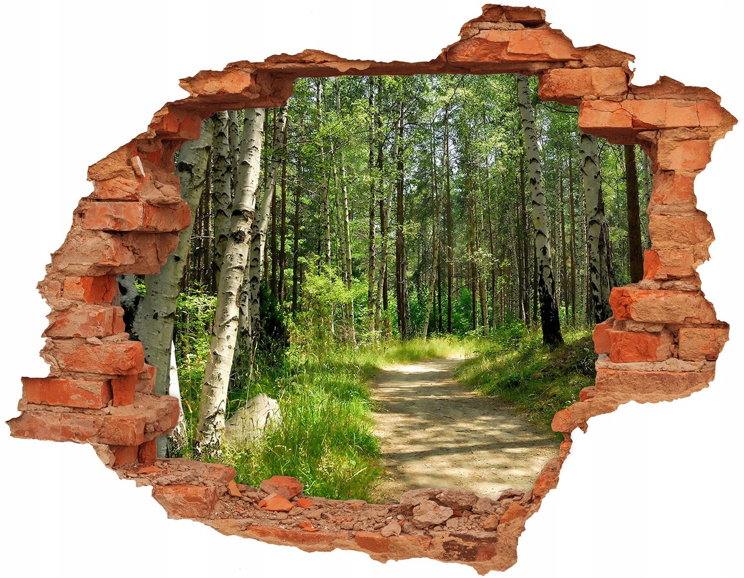  Otvor 3d výzdoba na zdi 148x115 cm lilie voda
