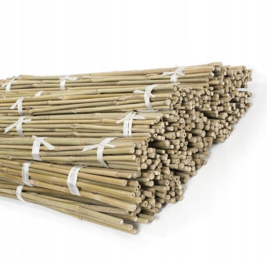  Bambusa miets atbalsta tomātiem augi 180 cm / 12-14 mm 10 datoriem.